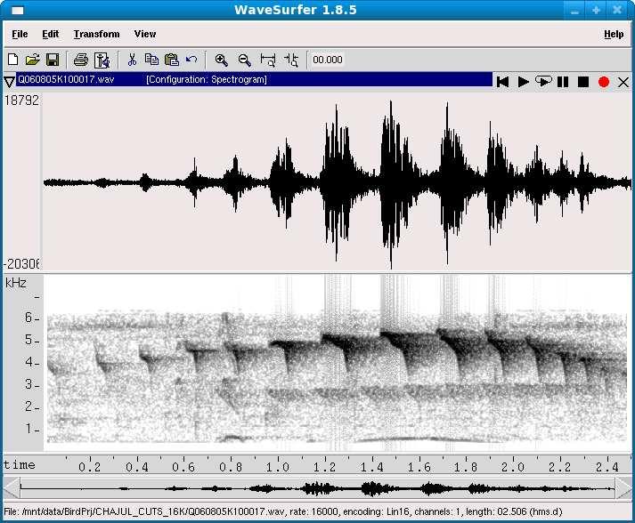 Waveform and spectrogram of a