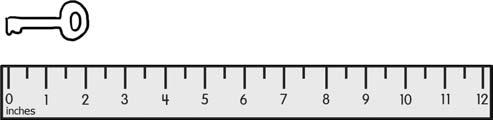 long. These rulers are