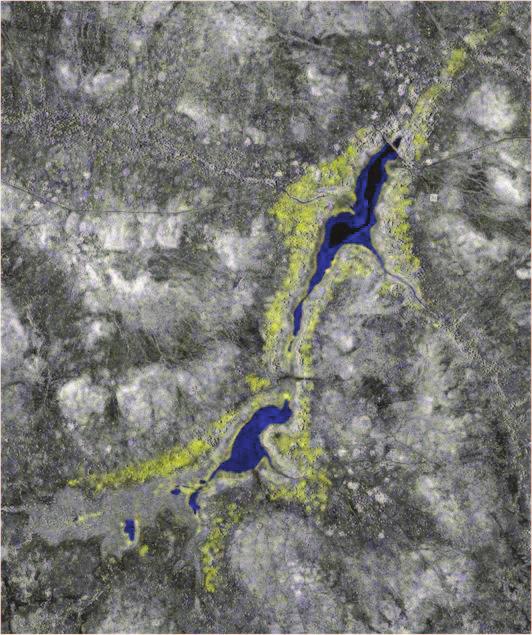In Figure 1 we present some examples of SAR images acquired by the Cosmo-Skymed sensor, relative to a rural area of Burkina Faso, in the West Africa Sahel, acquired in three different conditions.