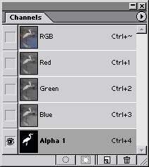 3 Click OK to accept the default settings. A new channel labeled Alpha 1 is added to the bottom of the Channels palette.