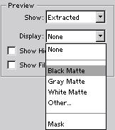 For a dark selection, try the Gray or White Matte option. None previews a selection against a transparent background. 10 Click the Preview button to preview the extracted object.