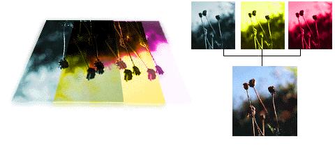 Instead of one layer of light-sensitive particles, colour film has three light-sensitive layers. Black-and-white film reacts to short wavelengths, mainly light perceived as blue.