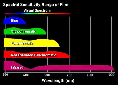 Spectral Sensitivity of Black & White Film Orthochromatic This emulsion is sensitive from violet to green region of the spectrum and hence can be handled in deep orange light which is safe for the
