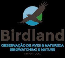 Birdwatching Trips Spring in South Portugal Introduction