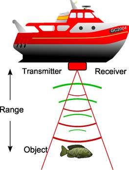 Fish finding Outline 1 Basics Introduction Basic Physics 2 Sonar Sonar types Position Estimation Signal processing 3