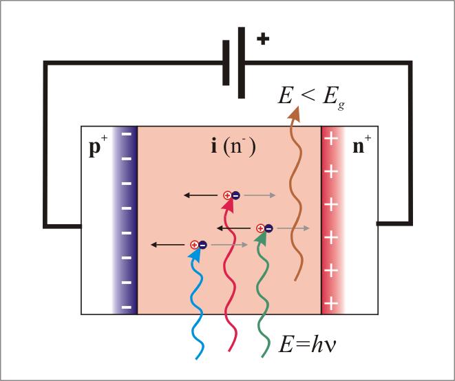 Photodetector basics P-i-n diode Band gap set by the semiconducting material (lower limit on photon energy) Photons are absorbed in i-region