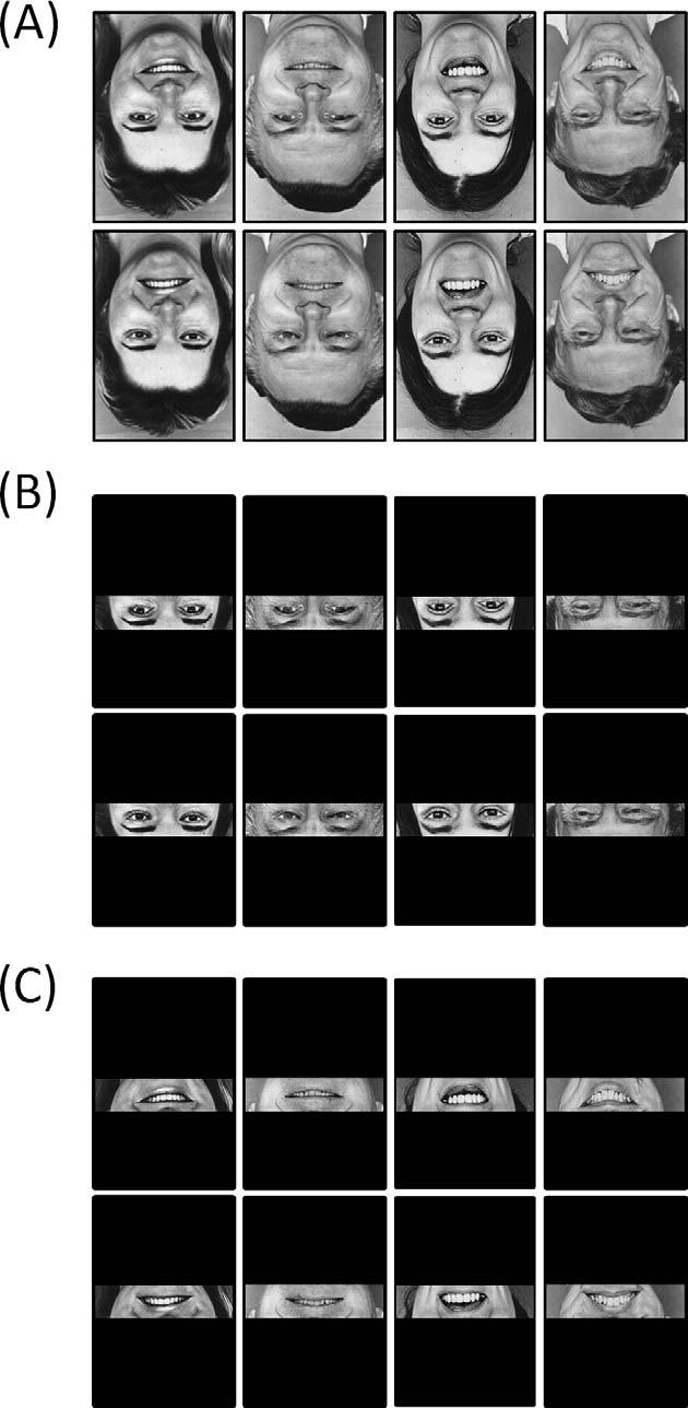 Journal of Vision (2014) 14(12):9, 1 10 Psalta, Young, Thompson, & Andrews 3 upright and inverted orientations when only the mouth region or only the eye region of each image was shown.