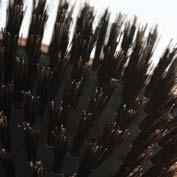 Bamboo Brushes - Pneumatic Brushes 145 84680 05 BAMBOO Pneumatic wooden bamboo brush, 100%