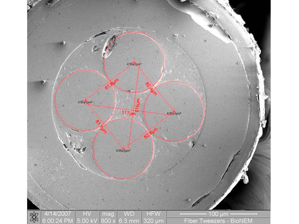 Supplementary Figure S2. Scanning-electron-microscope image of the probe end-face after the polishing procedure This picture shows the structure of the fabricated fiber bundle.