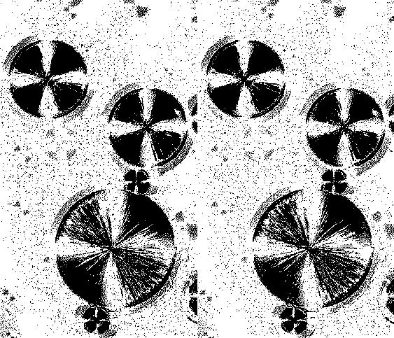 (a) (b) (c) (d) Figure 3.25 (a) Test image. (b) Binary image I bw produced by the thresholding.