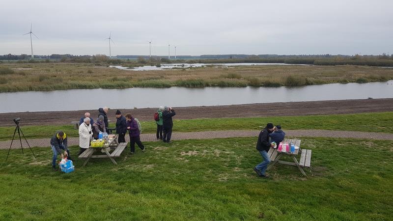 We said goodbye to the nature reserve Oostvaardersplassen and drove to another nature reserve for having our lunch.