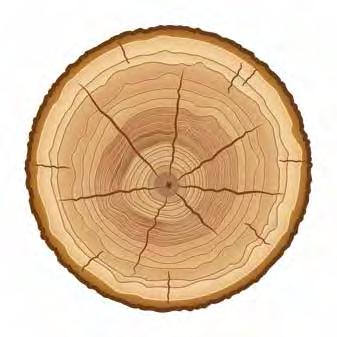 natural cedar, offering distinct color