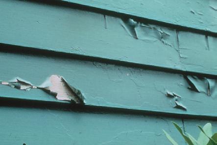 Peeling from Wood Definition: Occurs when wet wood expands and contracts from moisture and temperature change, causing the paint film to loosen, crack and roll at exposed edges and fall off.