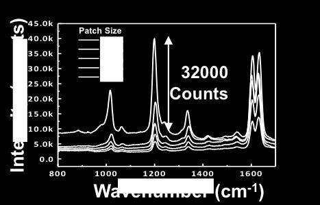 (c) BPE SERS measurement (10 sec