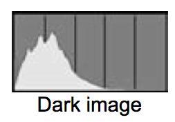 One tool to objectively measure exposure is the meter, another tool is the histogram, which measures luminance.