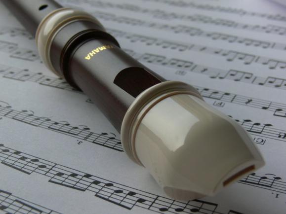 Recorder Resource List hmp://www.ehow.com/how_4798887_play- simple- songs- recorder.html This website tells you how to hold the recorder and what the first few notes are.