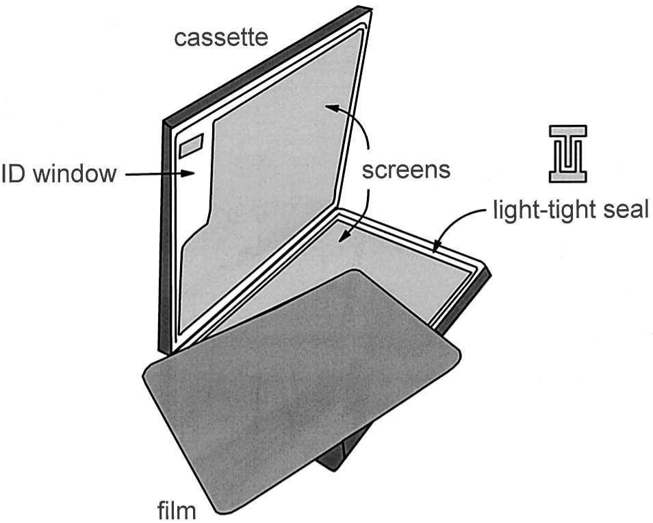 Convert x-rays to visible light