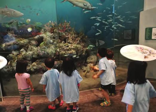 Alligators, kids create first ever kingdom under the sea and master