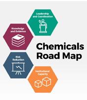 The Business Plan of the Lead Paint Alliance was developed in response to resolution II/4/B adopted by the second session of the International Conference on Chemicals Management (ICCM) in 2009.