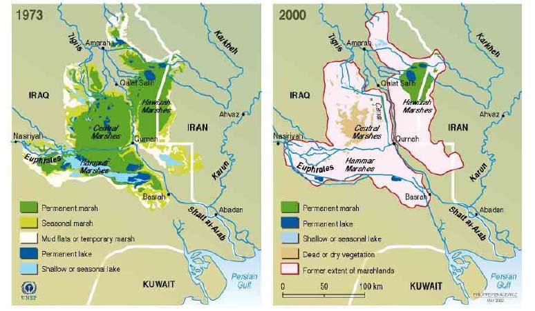 Extent of Wetland Destruction 10 1970s: ~20,000km 2