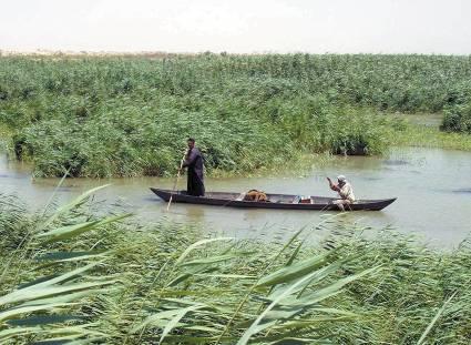 Importance of Iraqi Marshlands 7 Environmental Importance Largest wetland ecosystem in Middle East and Eurasia