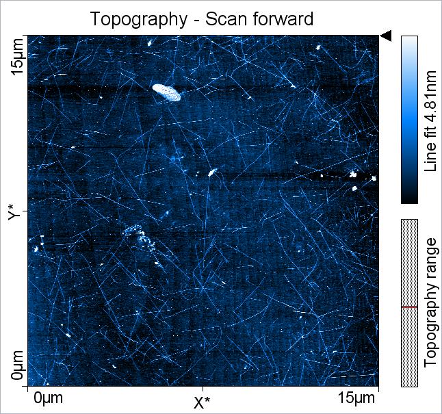 P2538000 Basic methods in imaging of micro and nano Carbon nanotubes Figure 30: Nanotube Image in static mode. Carbon nanotubes can be seen lying on the silicon surface. Set point (2nN).