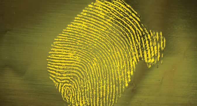 Lumicyano Supercharged Superglue for Fingerprint Recognition Lumicyano is a fluorescent cyanoacrylate.