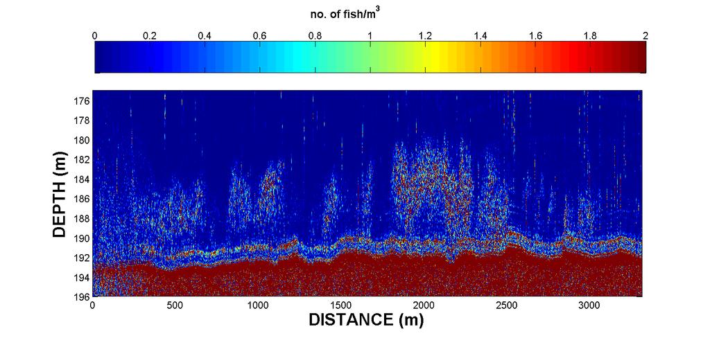 ESTIMATES OF FISH DENSITY Using resonance classification at 2-6 khz Artifact Figure 2. Estimates of fish density (Atlantic Herring) using acoustic resonance classification.