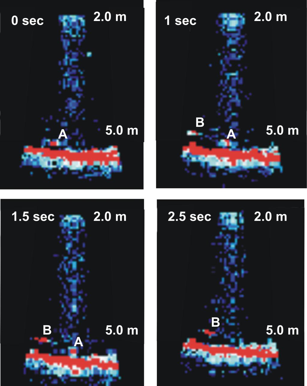 Figure 4. Imaging of fish near seafloor with acoustic lens.
