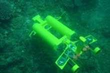 CSIRO is developing technologies that allow the underwater robot to immediately and autonomously recognise objects in the video stream and make decisions accordingly.