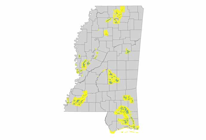 Important Bird Areas in Mississippi