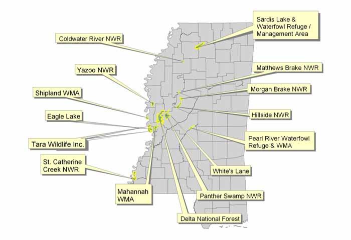 IBAs in Mississippi important to WWL Species