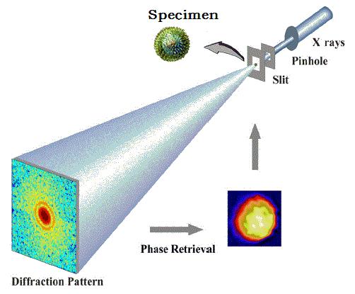 Coherent Diffractive Imaging A coherent X-ray beam illuminates a nonperiodic sample, producing a far-field diffraction pattern.