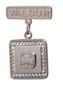 Valour Award continued Silver 1. H1057 2. POR (1989) 3. 1989-4. Square; silver; metal: raised Trefoil logo in centre, suspended from bar with text VALOUR. Bronze 1.