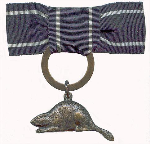 Bronze beaver worn on dark blue ribbon from 1933-35; worn