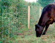 Introduction Stock fence is becoming increasingly popular and is by far the most common choice of wire livestock fencing.
