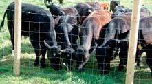 Post and Wire Strands of plain wire are not normally used for livestock fencing unless the strands of wire comprise a permanent electric fence, which offers a viable fence for many different types of