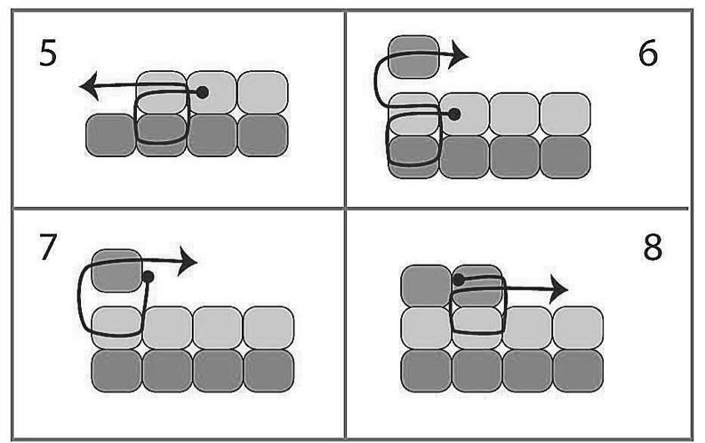 In the diagrams, the dark gray beads represent this first row. Hold the beads between the finger and thumb of your non- dominant hand to keep them in place.