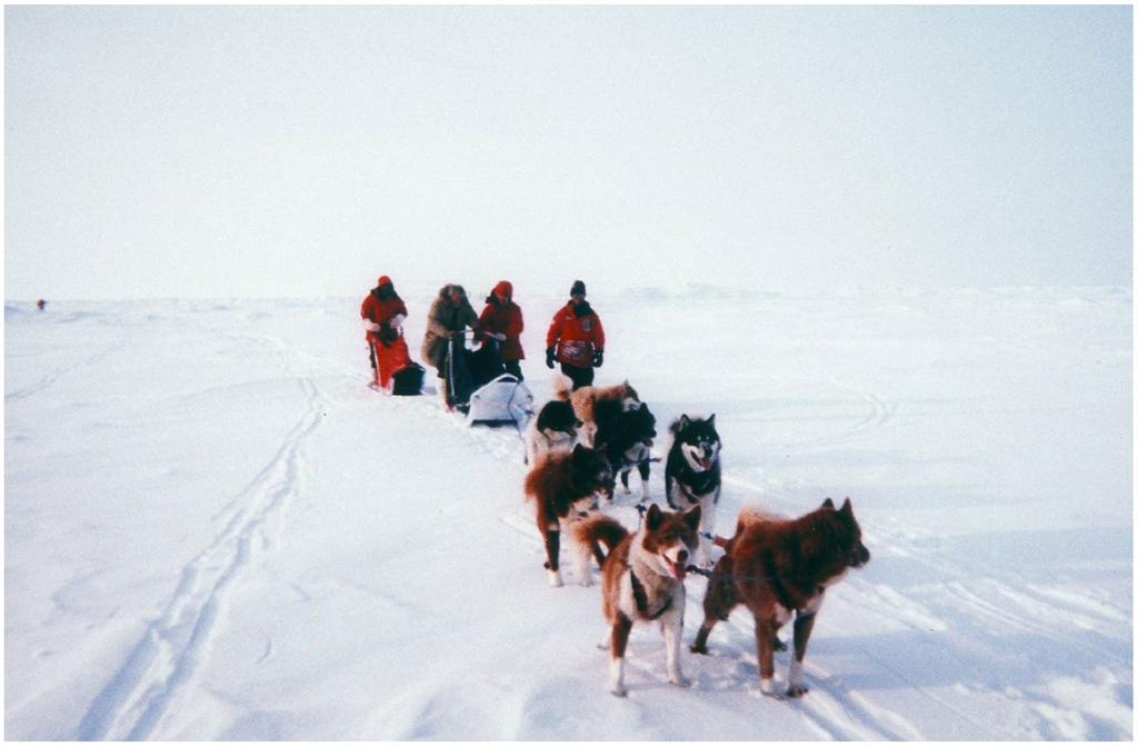 Figure 10. Claire (second from right) and others dogsledding toward the North Pole, 27 April 1999. Source: Photo by Mike Comberiate. people than if the same publication were written by a man instead.