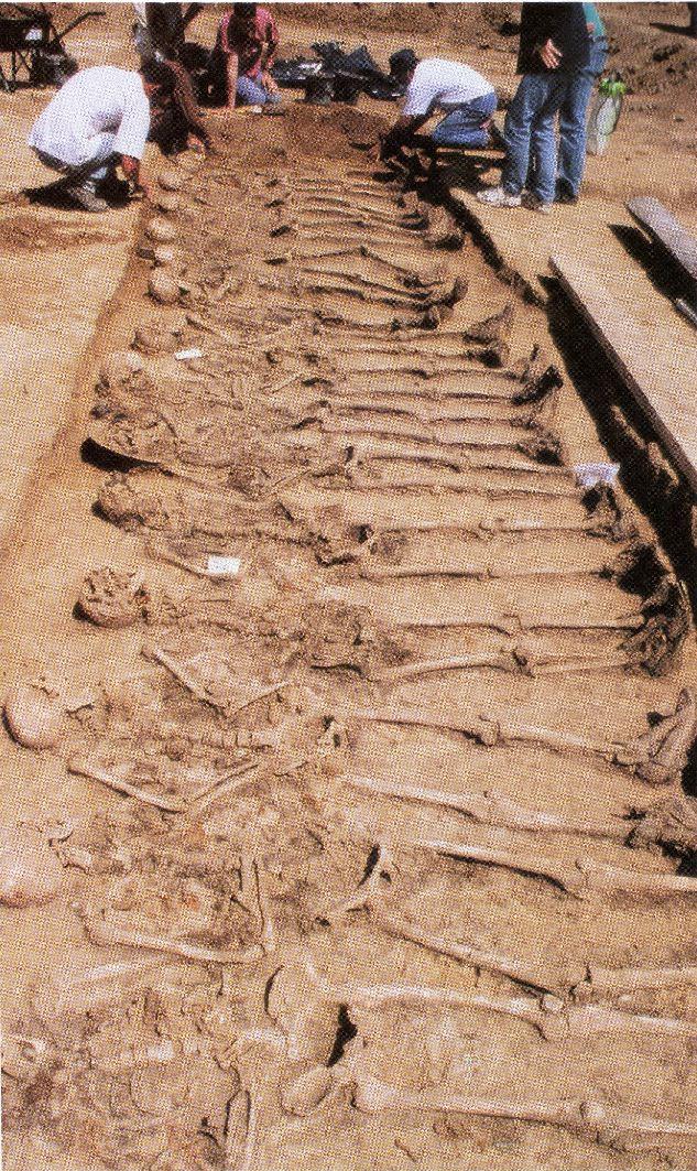 Appendix K: British soldiers found near Arras Credits: Great War Archaeology, DESFOSSES Yves. 2009.