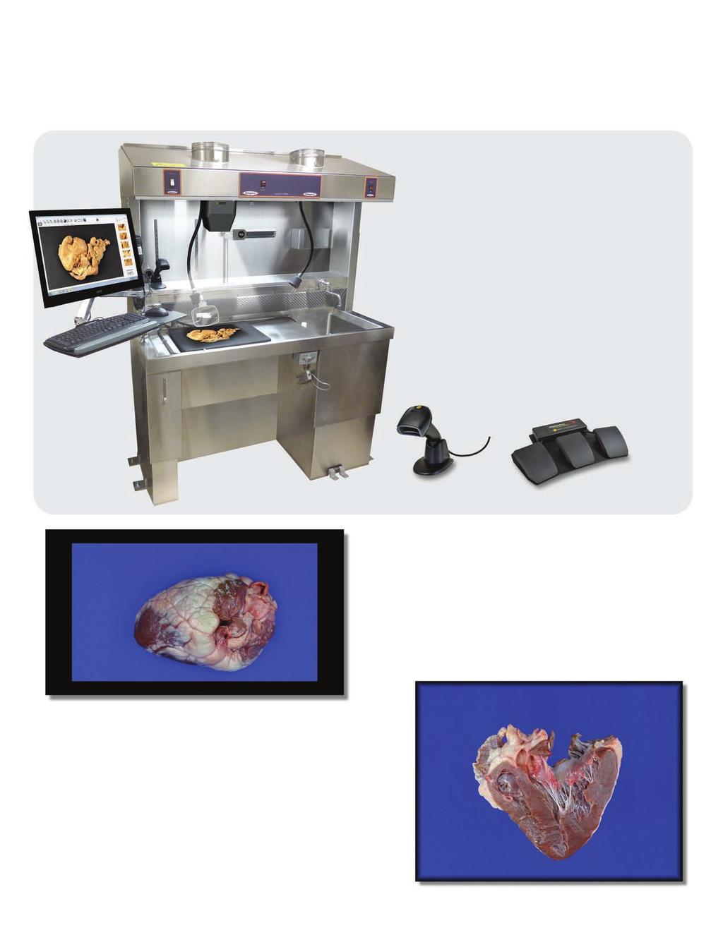 PathStation TM Fits Your Lab PathStation hood Compact In-hood Imaging system. Supports in-process documentation PathStation Key Features 20 MP Image Capture Great HD Video 8.