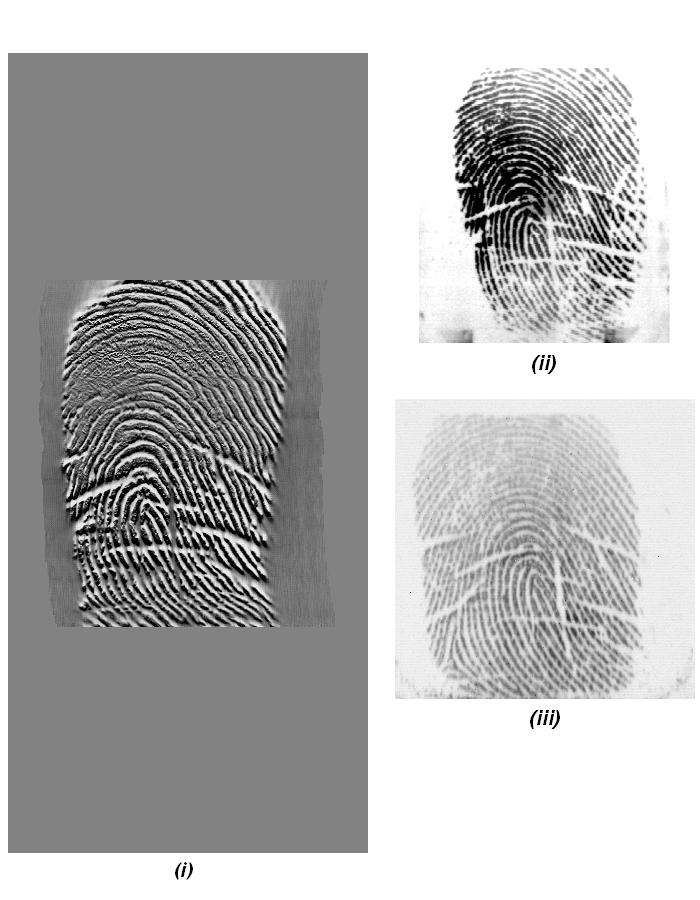 (a) (b) Fig. 4. Fingerprint samples of two different users of the database.