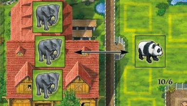 Important: a player may only do one Money Action per turn. Thus, a player wishing to rearrange their zoo completely may end up choosing a Money Action during many consecutive turns. I.