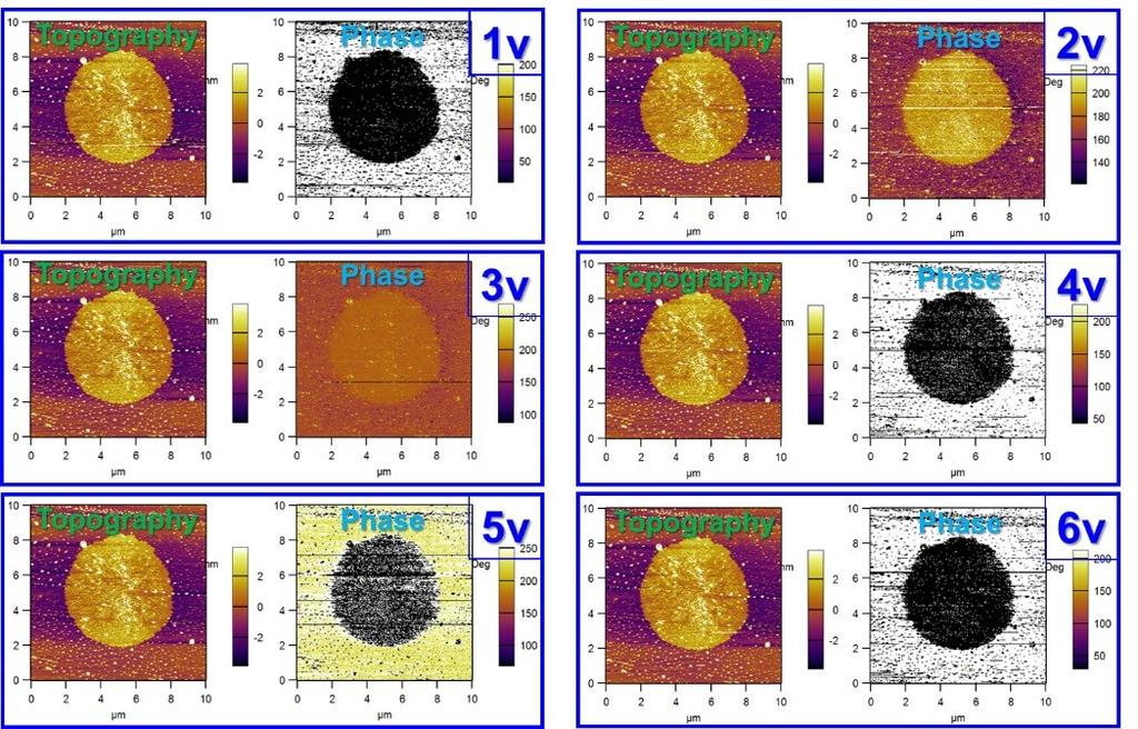 fig. S6. Topography and phase images of PFM characterization of CdS thin film when different tip voltages (1 to 6 V) were applied.