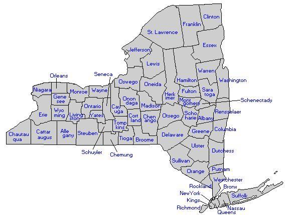 GRADE 4: MODULE 1A: UNIT 1: LESSON 3 NYS County Map http://www.nysl.nysed.gov/genealogy/counties.