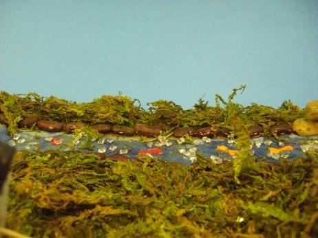 to complete the landscape (moss / fake snowflakes / grass) liquid white glue contstruction paper (river / lake) rocks, beans (for around