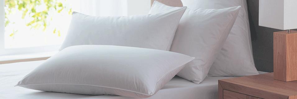 BEDROOM - PILLOWS & PROTECTORS Pillows and Protectors Pillow Poly-Cotton 600gm Poly-cotton Pillow