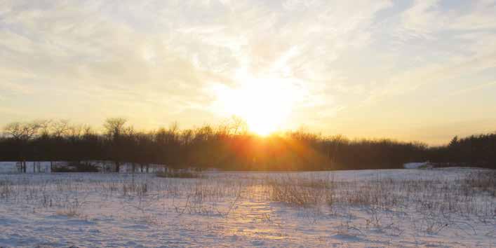 WINTER 2018 Prairie Islander THE NEWSLETTER OF THE MACON COUNTY CONSERVATION DISTRICT New Online