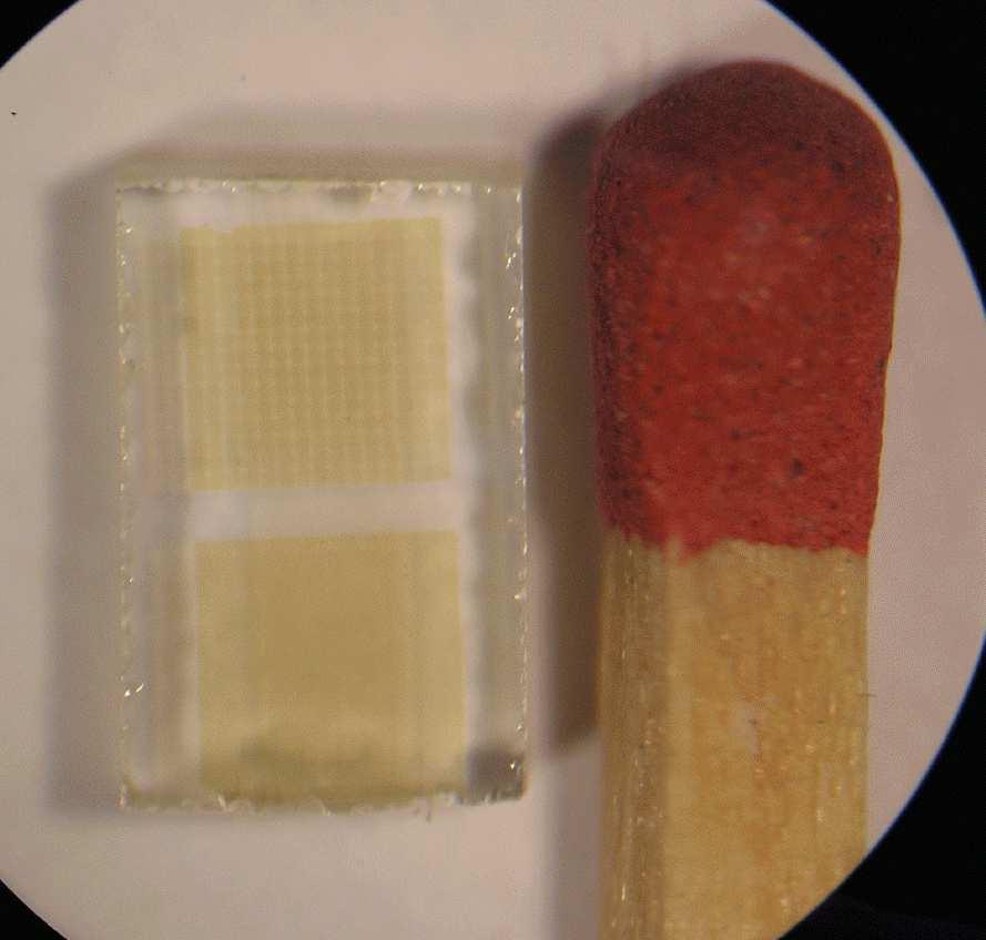 Figure 4. The prototype micro-lenslet array is here shown next to the tip of a matchstick.