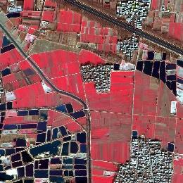 3. EXPERIMENTAL AND ANALYSIS 3.1 Experiment Data Worldview images in Zhengzhou, China, are chosen for image quality assessment due to its various area types and ground objects.